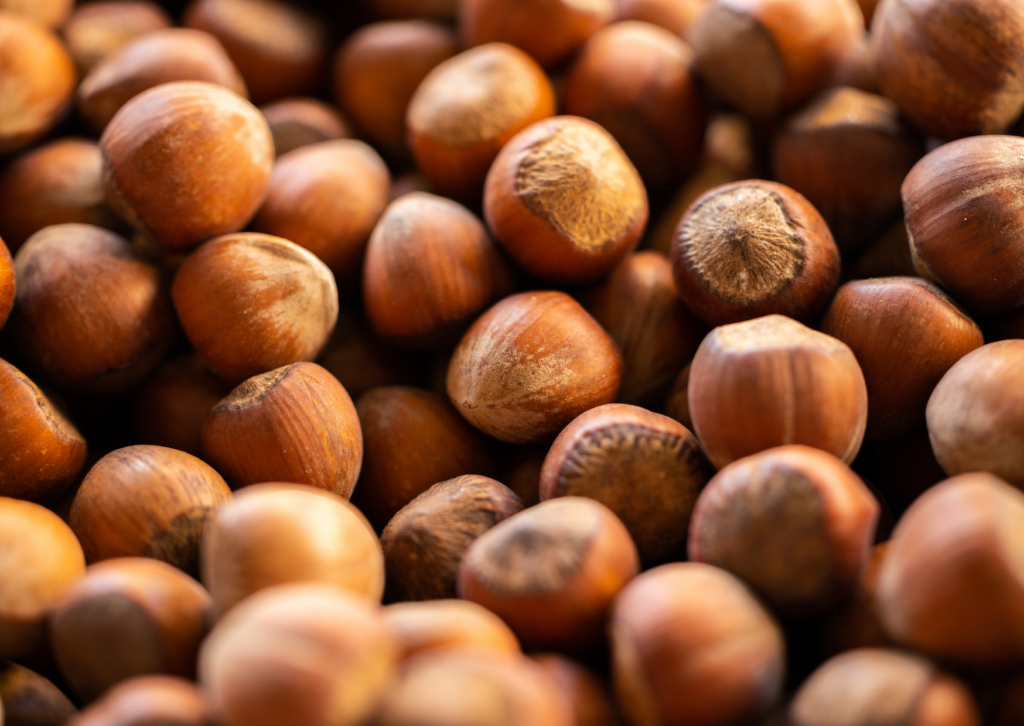 Hazelnoten bij De Patrijs